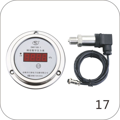 DMY100-1精密數字壓力表（分體式）